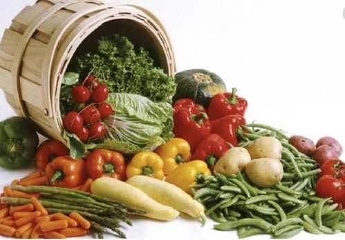 上海至成都冷冻恒温运输 专业快捷，守护食品经营每一程