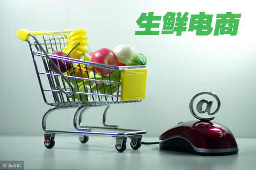 开网店如何办理食品经营许可证 流程、要求与注意事项详解